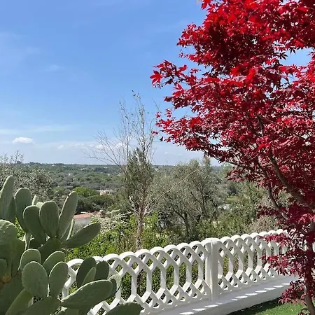 Hotel Trullo Casa Carucci With Pool