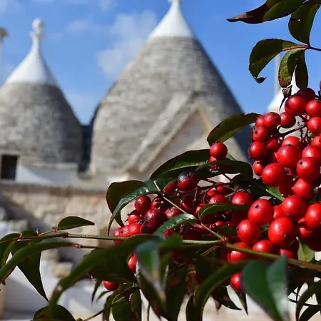 Hotel Trullo Casa Carucci With Pool